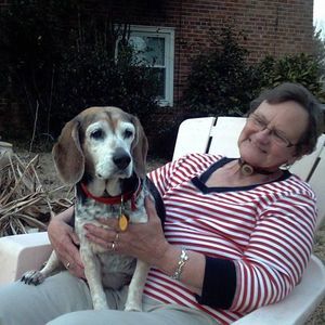 Meet your Posher, Frances